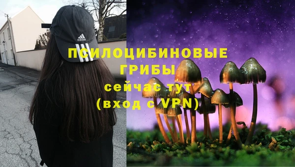 а пвп мука Куйбышев