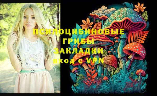 бутират Кукмор