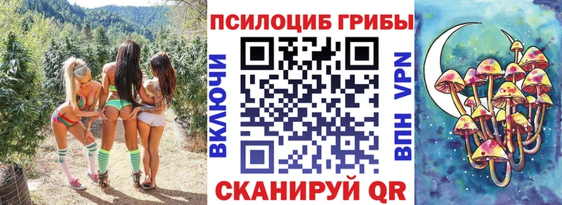 Купить закладки  Нолинск  Галлюциногенные грибы ЛСД 